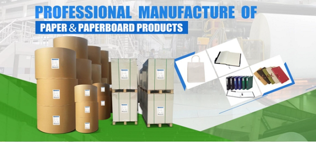 95 x 130cm 200gram 250gram Trắng Glossy Art Paper Roll For Brochure Making