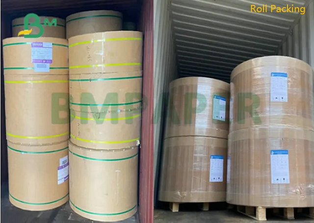 100# 120# Double Sided Coated Text Paper Glossy Trắng For Offset Printing
