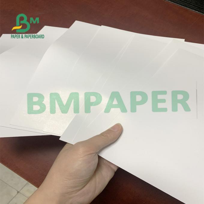 140gsm - 300gsm High Trắngness Glossy Coated Paper For Color Pictures