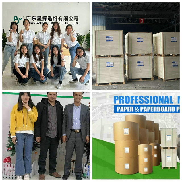 Food Grade  260 + 15PE Coated Trắng Cupstock Paper Board For Coffee Cup