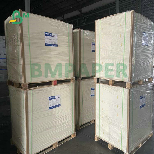 95 x 130cm 200gram 250gram Trắng Glossy Art Paper Roll For Brochure Making