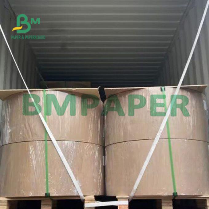 295g One Side Trắng Coated Food Grade Paper Board Container Card For Bread