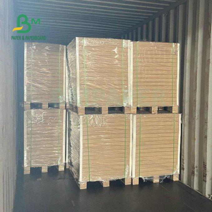 100% Safe One Side Coated Trắng Food Board 275gsm 325gsm For Packing Food 