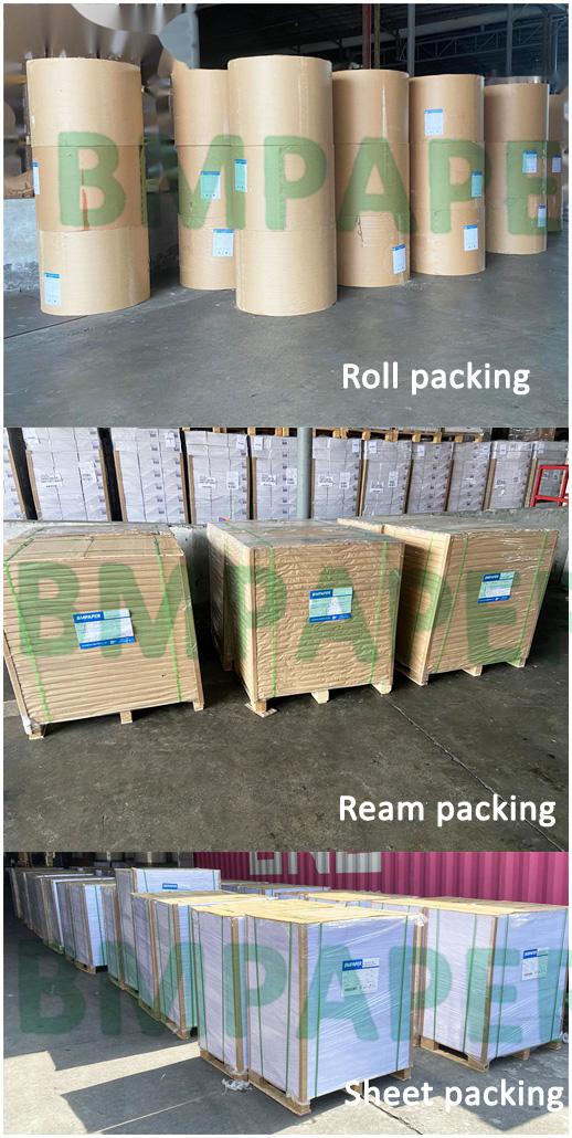 Top Trắng Coated Food Card Stock 215gsm Food Container Board
