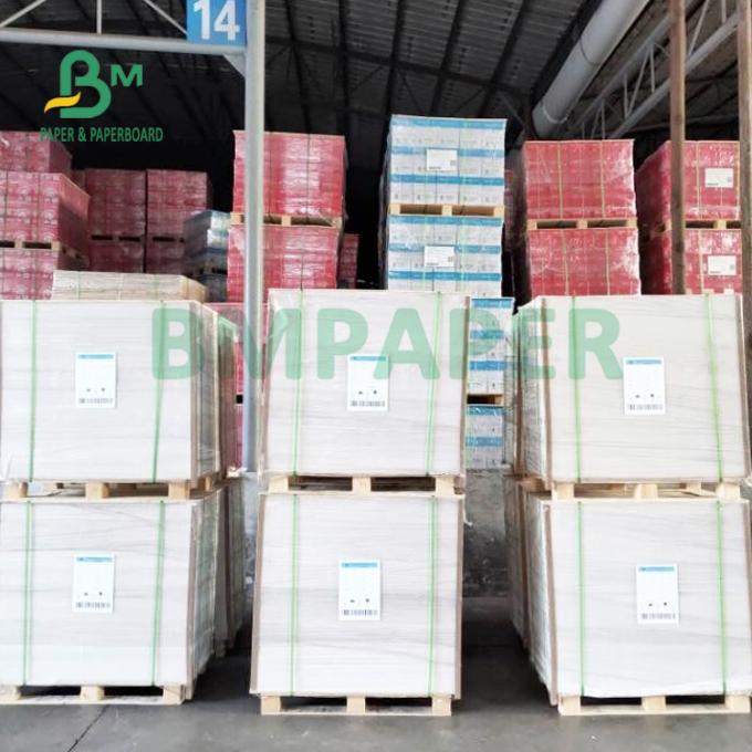 230gsm 280gsm Super Absorbing Water Coaster Board 615mm X 860mm Natural Trắng
