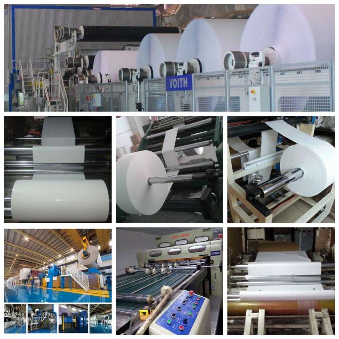 Trắng 42gsm Wide Format Uncoated Apparel Use Plotter Paper Rolls