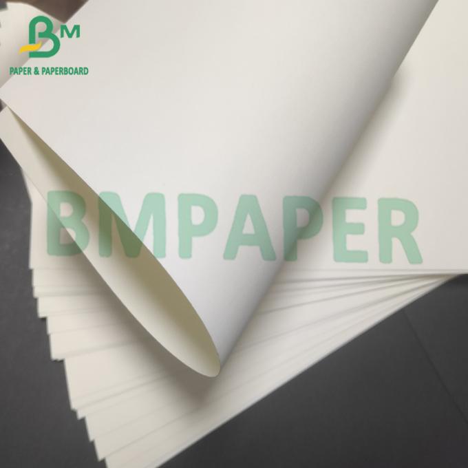300gsm Compostable Poly Coated Trắng Cardboard Paper For Soup Bowls