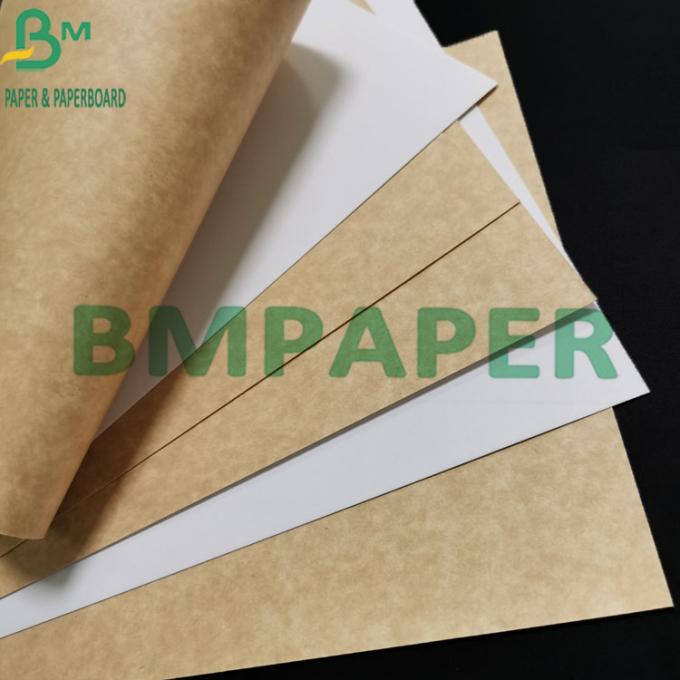 300gsm Food Grade Coated Trắng Kraft Paper With Brown Back For Food Container