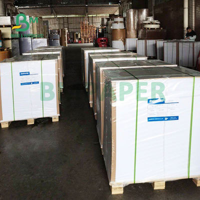 60# Văn bản không phủ giấy không gỗ cho sách chủ đề 25' x 38' in ấn Offset