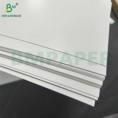 Bảng bìa thực phẩm phủ màu trắng 325gm 350gm Bao bì thực phẩm an toàn