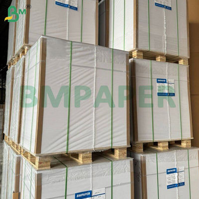 Giấy lọc cà phê dùng một lần màu nâu 100 đếm 2-4 cốc Giấy xoáy