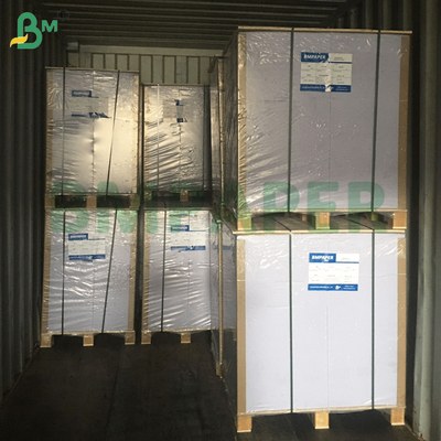 50gm giấy lọc cà phê màu trắng và nâu cho máy pha cà phê vô vị