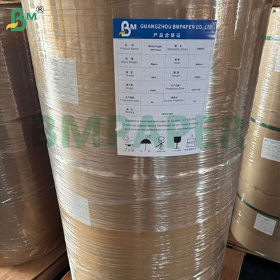 Giấy Kraft tráng PE chống thấm 300g + 18g cho tô salad 880mm 975mm