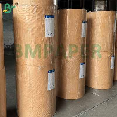 Giấy tráng phủ hấp thụ mực bóng 300g 70*100cm cho danh thiếp