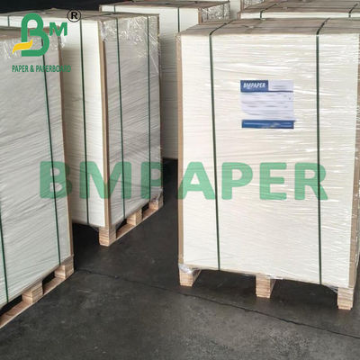 Giấy thấm hút sinh thái dày 0.7mm dùng cho in ấn