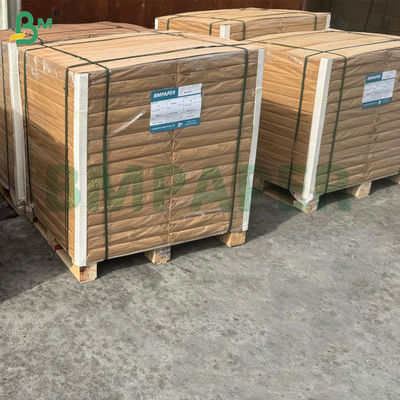 65gm 75gm không phủ giấy sách bằng ngà voi lớn cho tờ rơi 70 x 100cm