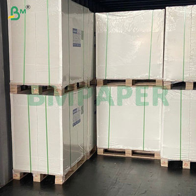 Giấy in đá thân thiện với môi trường 300g dùng cho sách và album nghệ thuật chất lượng cao