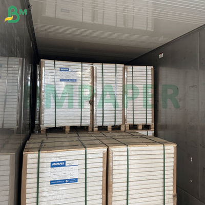 230gram 250gram Anti Mould Coated Duplex Board For Soap Package 700 -900mm