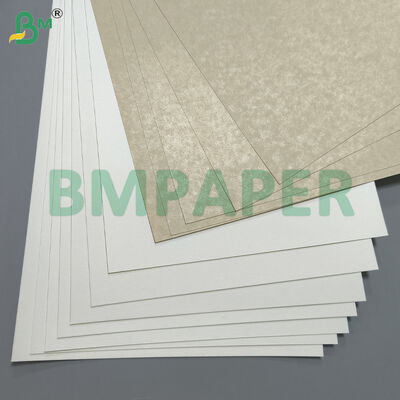 Bảng giấy đặc biệt cho đĩa và bát thực phẩm, PET