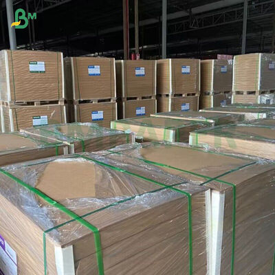 260GSM + 18GSM FDA giấy kraft tre dễ phân hủy với giấy vỏ PE / PLA