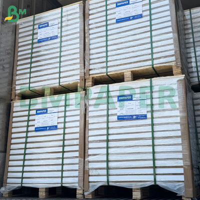 Cuộn giấy in ảnh C2S tráng bóng hai mặt 210gsm khổ 31*43 inch