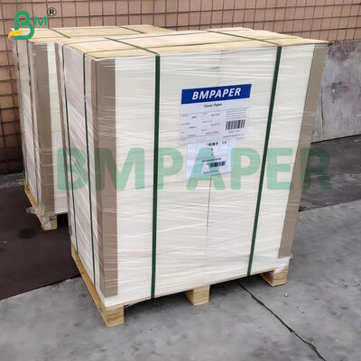 Giấy Bristol Trắng Không Tráng Phủ Mịn 100lb 270gsm Kích thước 22" x 30"