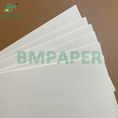 Giấy bìa trắng tráng C1S độ phồng cao 275gsm 325gsm tiếp xúc thực phẩm cho đĩa và khay đựng thức ăn dùng một lần