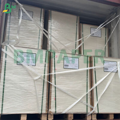 300gm Vỏ giấy bột đường không tẩy trắng giấy giấy bột giấy phân hủy sinh học được chứng nhận 787mm X 1092mm