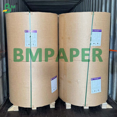 Giấy tráng bóng một mặt C1S 80gsm dùng cho bao bì ngoài túi trà