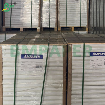 Giấy mỹ thuật cán bóng hai mặt lõi đen 320gsm