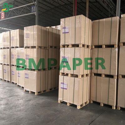 Giấy bã mía tự nhiên bền vững dùng để in, túi mua sắm