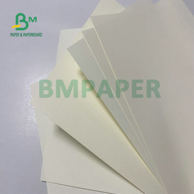 Giấy không tráng phủ gỗ không bột giấy cao 50g 60g Bề mặt nhẵn Màu ngà