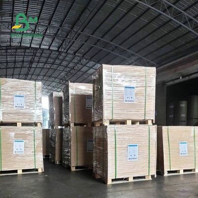60G 70G 80G 90G Tờ giấy in offset màu trắng trơn không tráng phủ 24 * 38&quot;