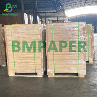 Giấy trắng sáng mịn, giấy vẽ bảng 200gsm 250gsm