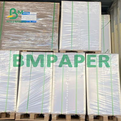 Hấp thụ mực in Giấy không tráng gỗ cho các loại sách khác nhau