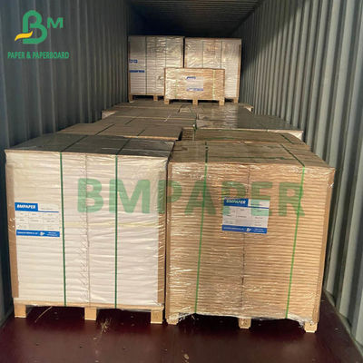 40gsm 45gsm Từ Điển Kinh Thánh Giấy Khổ Lớn Báo Ảnh Giấy 700mm