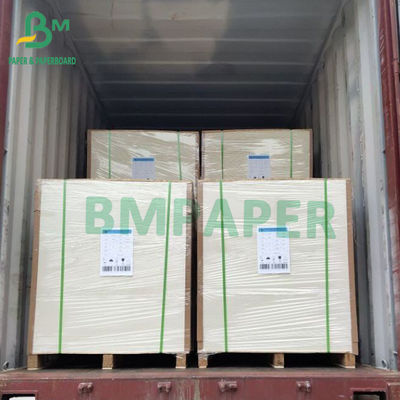 40gsm 45gsm Từ Điển Kinh Thánh Giấy Khổ Lớn Báo Ảnh Giấy 700mm
