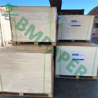 Cấp thực phẩm Bảng giấy trắng 100gsm cho vật liệu cốc hình nón