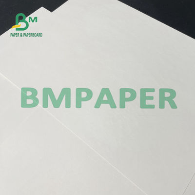Giấy cuộn 100gsm 120gsm Màu trắng cho cốc hình nón