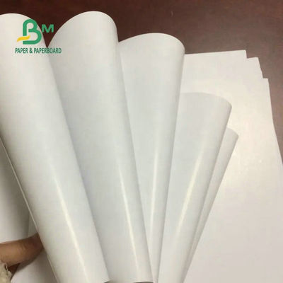 115gram 120gram 157gram Giấy Couche 2 Mặt Bóng/ Giấy Mỹ Thuật C2S/ Cuộn C2S