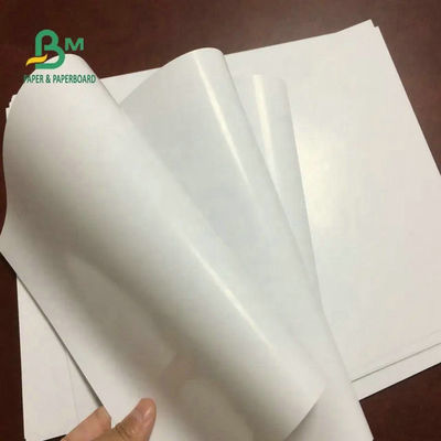 115gram 120gram 157gram Giấy Couche 2 Mặt Bóng/ Giấy Mỹ Thuật C2S/ Cuộn C2S