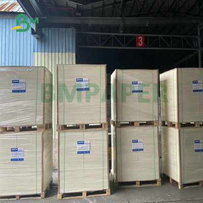 Cấp thực phẩm 260 + 15 Cốc tráng PE Giấy trắng cho cốc cà phê