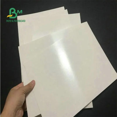 Cấp thực phẩm 260 + 15 Cốc tráng PE Giấy trắng cho cốc cà phê