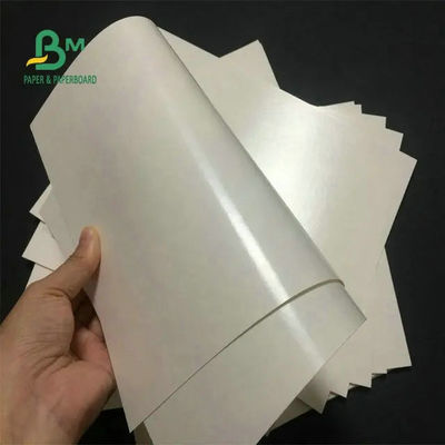 Cấp thực phẩm 260 + 15 Cốc tráng PE Giấy trắng cho cốc cà phê