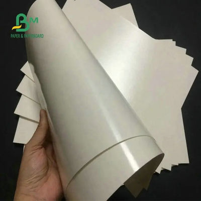 Cấp thực phẩm 260 + 15 Cốc tráng PE Giấy trắng cho cốc cà phê