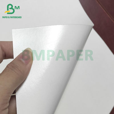 OEM ODM Trắng cốc giấy chứng khoán PE tráng cho cốc giấy Bát giấy