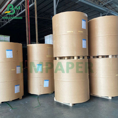 OEM ODM Trắng cốc giấy chứng khoán PE tráng cho cốc giấy Bát giấy
