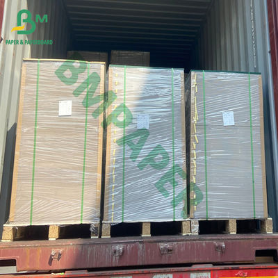 Bảng song công tráng phủ màu trắng sáng 300gsm cho thẻ trưng bày