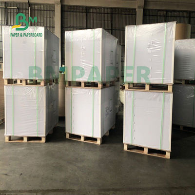Bảng giấy chứng khoán cốc cấp thực phẩm cho bát mì 700mm X 1000mm