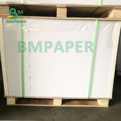 Bảng giấy chứng khoán cốc cấp thực phẩm cho bát mì 700mm X 1000mm